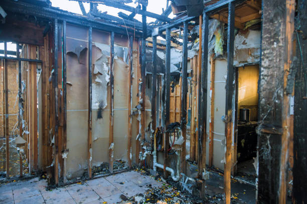 Professional Odor Removal technician working in Merrillville, IN